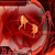 л԰ ܿᡷ¼°汾